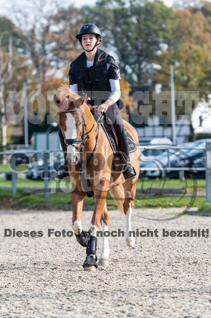 IGV Lehrgang der Sieger der Cups mit Frank Ostholt