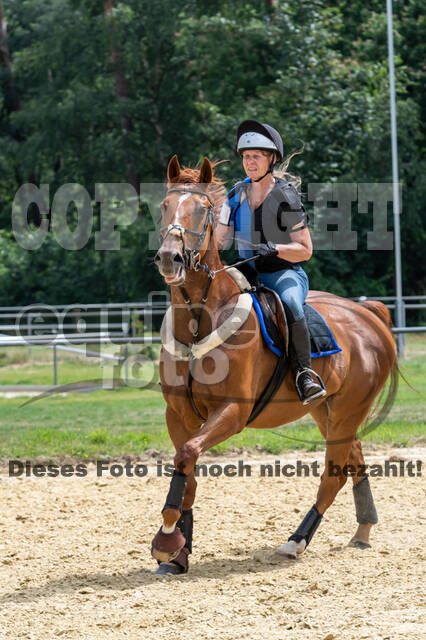 Hunter Geländetraining 10.07.2021 (Sonsbeck)