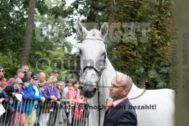 FEI European Championship Eventing 2017
