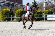 Eventing Langenfeld
