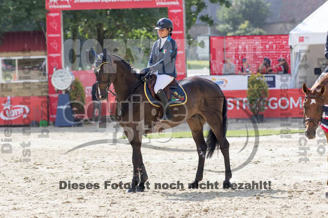 FEI European Championship