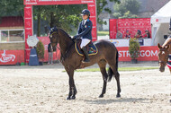 FEI European Championship