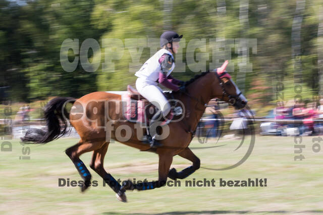 Vielseitigkeitsturnier RSV St. Hubertus Wesel Obrighoven
