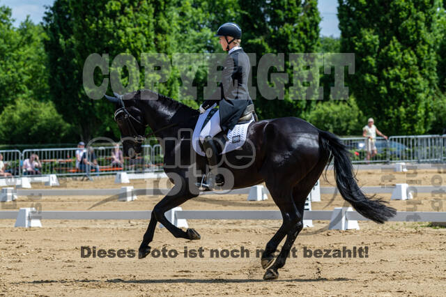 Westerstede Horse Trials 2021