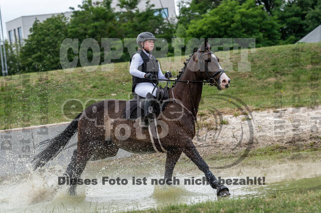 Late-Entry-Vielseitigkeit Langenfeld (11.+13./14.06.2020)