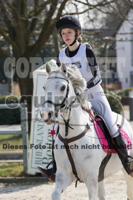 Eventing Langenfeld 2018