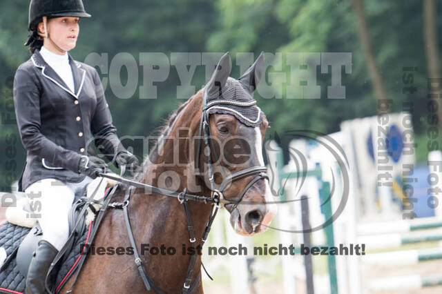 Vielseitigkeitsturnier Bad Honnef