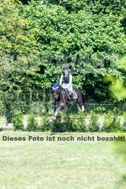 Goldene Schärpe 2021 - Ponys