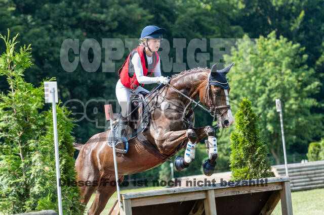 Goldene Schärpe 2021 - Ponys