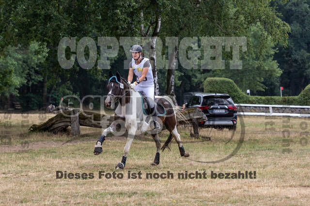 Late-Entry Vielseitigkeit Hamminkeln/Wesel (01.+02.08.2020)