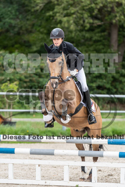 Late-Entry-Vielseitigkeit Langenfeld (06.+07.07.2020)