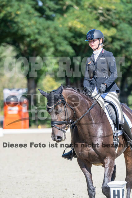 Kronenberg - De Peelbergen (August 2020)