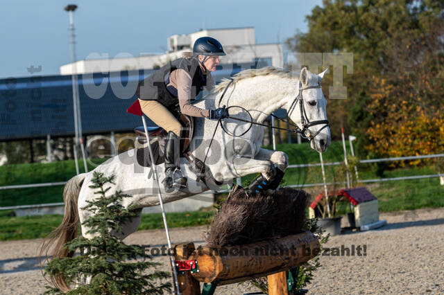 IGV Lehrgang der Sieger der Cups mit Frank Ostholt