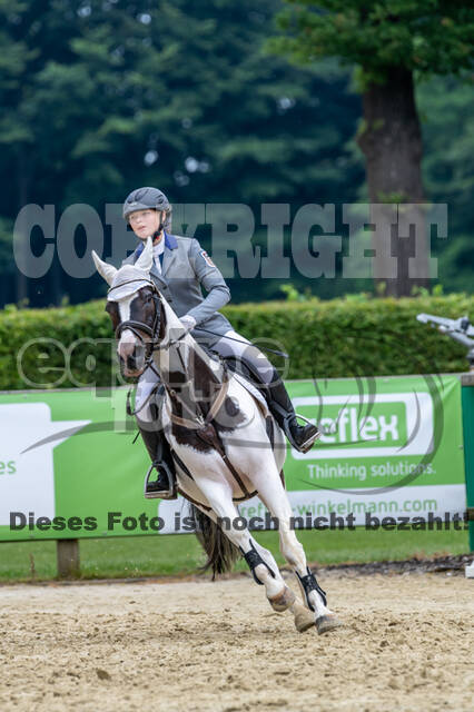 Goldene Schärpe 2021 - Ponys