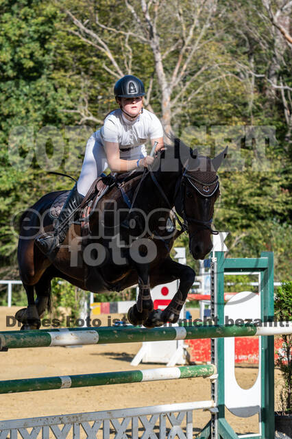 RFV Dinslaken-Hiesfeld (Herbstturnier)