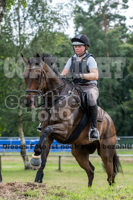 Hunter Geländetraining 10.07.2021 (Sonsbeck)