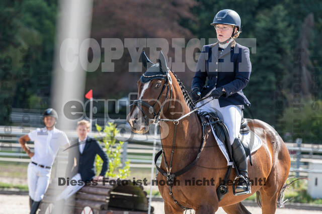 Landesturnier Rheinland, Vielseitigkeit, 22.+23.08.2020