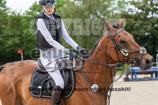 Late-Entry-Vielseitigkeit Langenfeld (11.+13./14.06.2020)