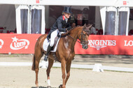 FEI European Championship Eventing 2017