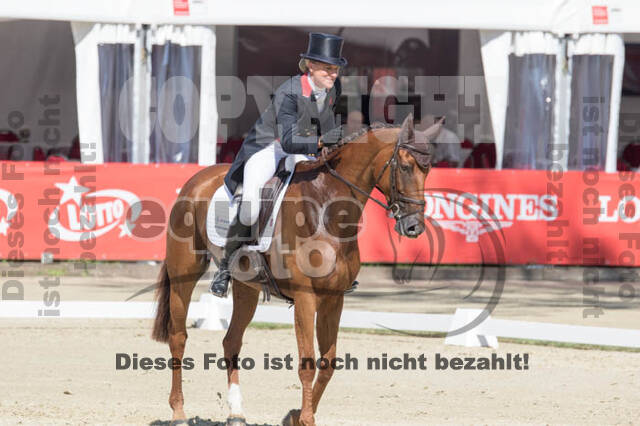 FEI European Championship Eventing 2017