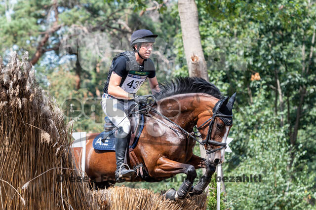 De Peelbergen (August 2020)