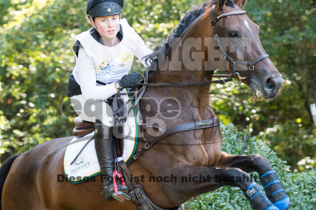 Vielseitigkeitsturnier RSV St. Hubertus Wesel Obrighoven