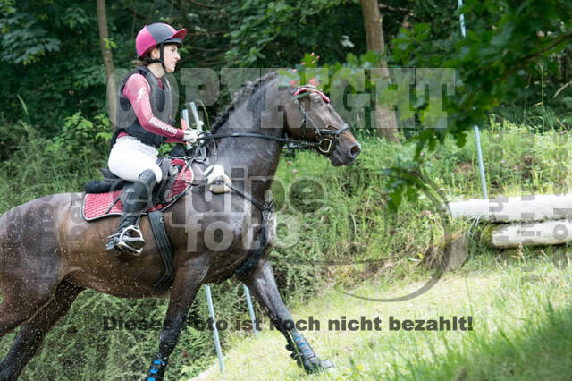 RFV Bad Honnef