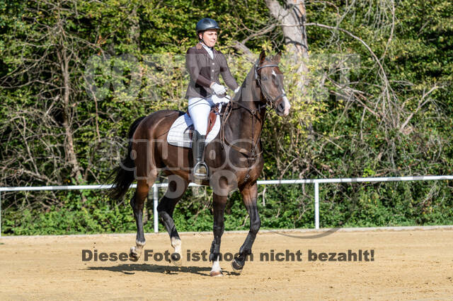 RFV Dinslaken-Hiesfeld (Herbstturnier)