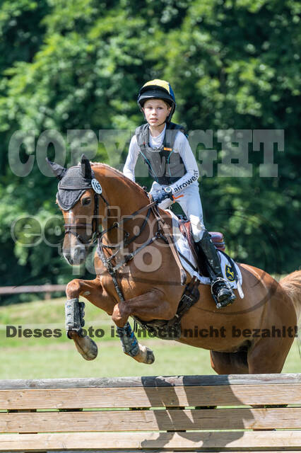Goldene Schärpe 2021 - Ponys