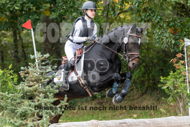 Goldene Schärpe 2020 - Pferde