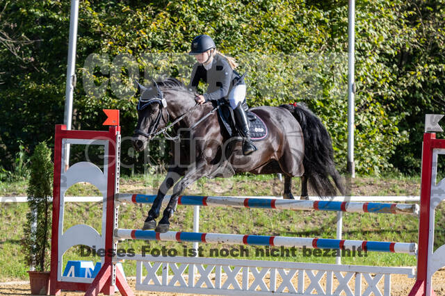 RFV Dinslaken-Hiesfeld (Herbstturnier)
