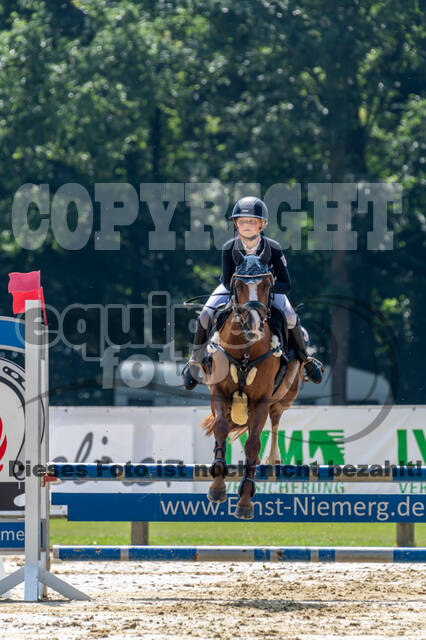 Goldene Schärpe 2021 - Ponys