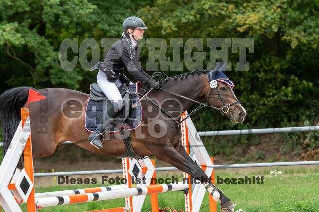 Late-Entry-Vielseitigkeit Langenfeld (06.+07.07.2020)