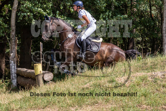 Late-Entry Vielseitigkeit Hamminkeln/Wesel (01.+02.08.2020)