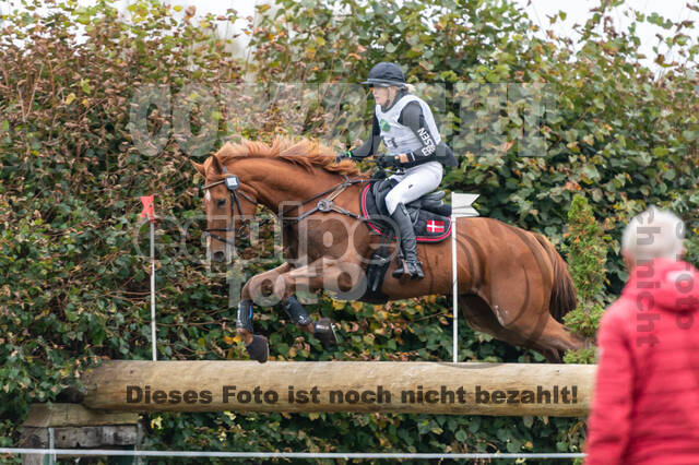 Deutsche Meisterschaft Vielseitigkeit (Luhmühlen)
