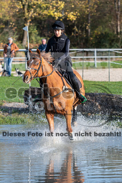 IGV Lehrgang der Sieger der Cups mit Frank Ostholt