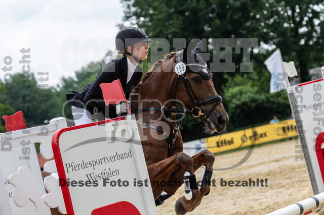 Goldene Schärpe 2021 - Ponys
