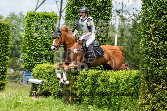 Westerstede Horse Trials 2021