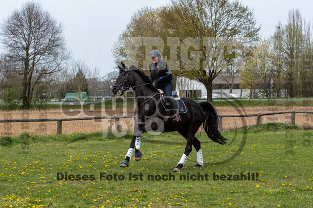 Geländetraining ZRFV Hamminkeln (24+25.04.2021)
