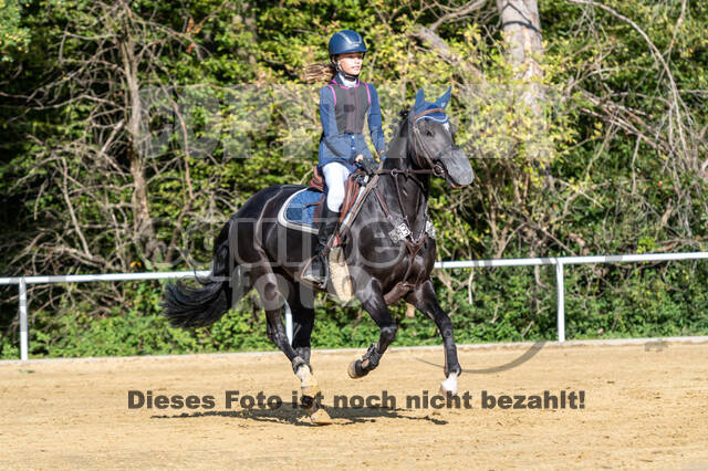 RFV Dinslaken-Hiesfeld (Herbstturnier)