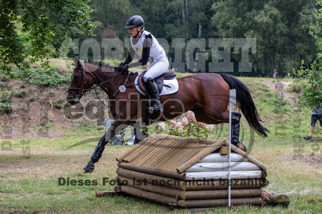 Late-Entry Vielseitigkeit Hamminkeln/Wesel (01.+02.08.2020)