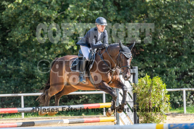 RFV Dinslaken-Hiesfeld (Herbstturnier)