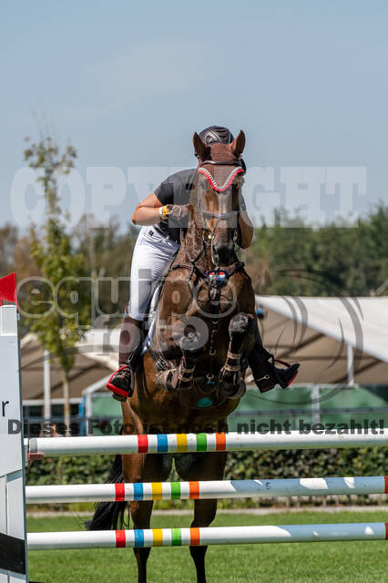 Kronenberg - De Peelbergen (August 2020)