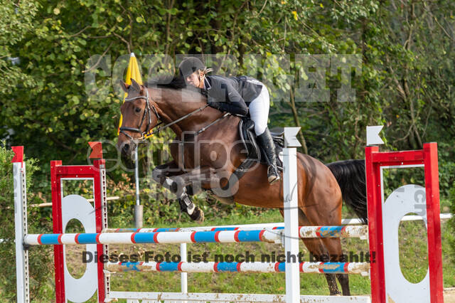 RFV Dinslaken-Hiesfeld (Herbstturnier)