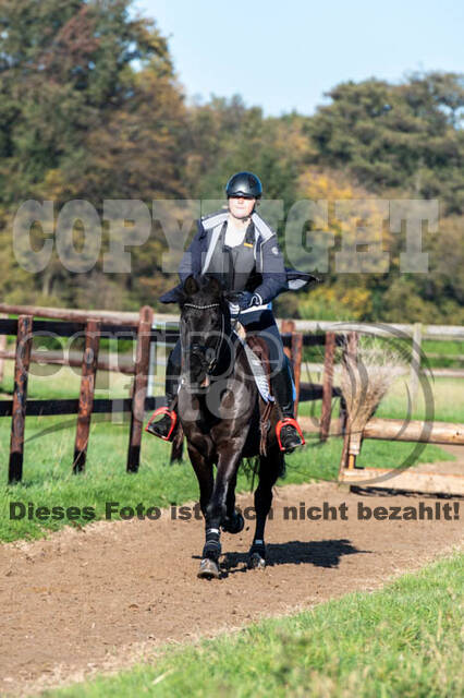 Vielseitigkeitslehrgang mit Jürg Kurbel (9.+10.11.2019)