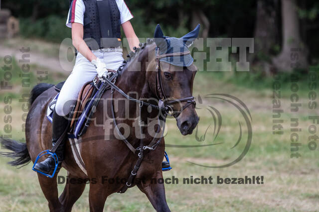 Late-Entry Vielseitigkeit Hamminkeln/Wesel (01.+02.08.2020)