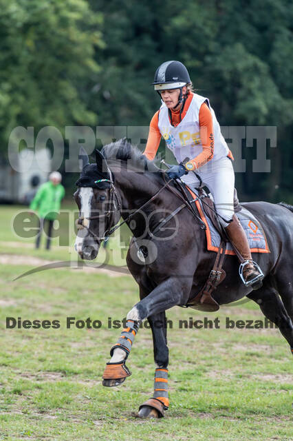 Vielseitigkeit RSV Wesel Obrighoven (26.+27.09.2020)
