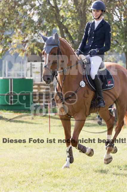 IGV Kleve