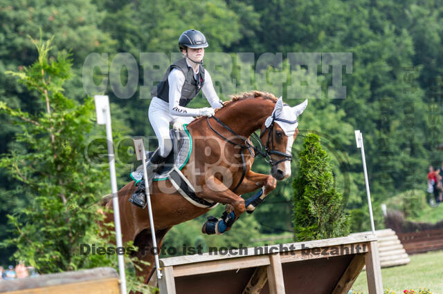 Goldene Schärpe 2021 - Ponys