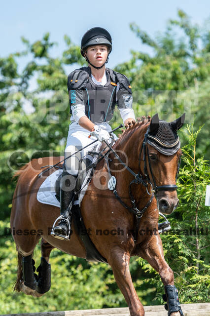 Goldene Schärpe 2021 - Ponys